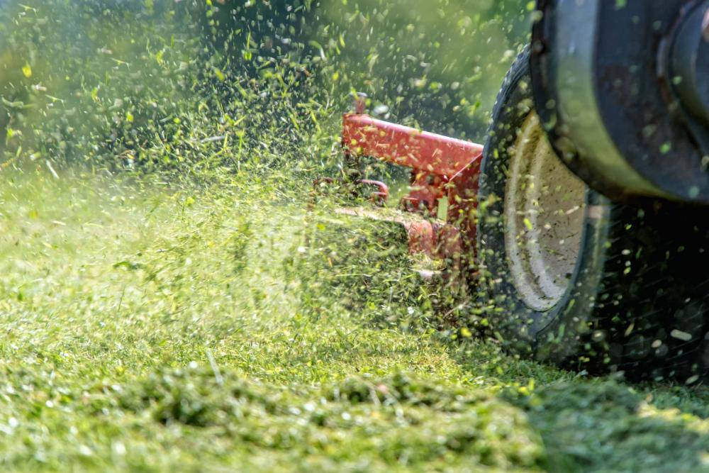 Entretien de jardins à Beaupréau en Mauges