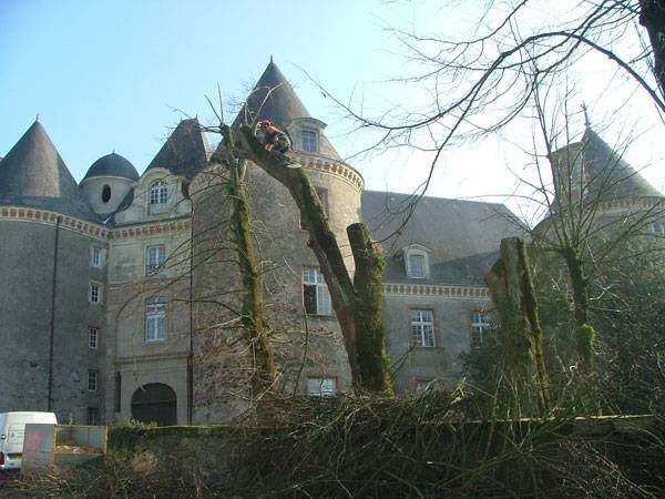 protection_patrimoine