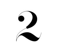 Lingerie Typeface Regular Wild Style Moshik Nadav Fashion Fonts Typogr (2)